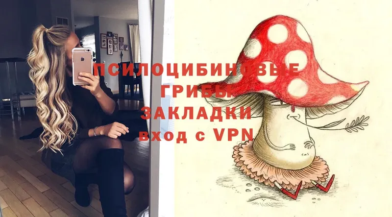 Галлюциногенные грибы Cubensis  где продают   Аксай 